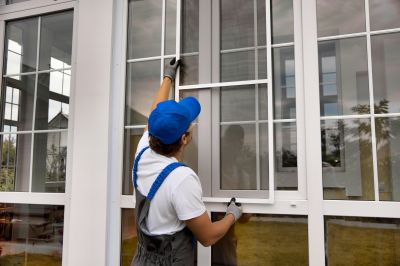 Local Tampa Window Services
